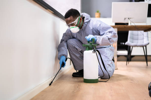 Best Commercial Pest Control  in Chesaning, MI